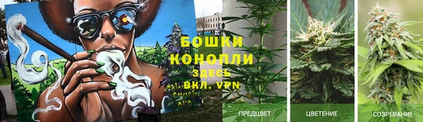 мескалин Нея