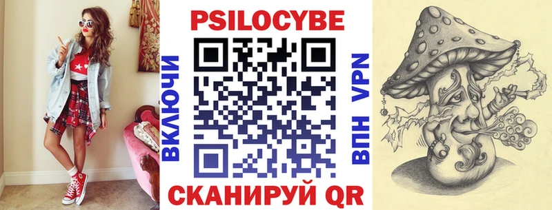 Псилоцибиновые грибы Psilocybe  ссылка на мегу ONION  Челябинск  купить закладку 